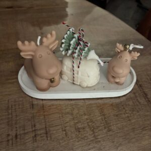 Kerst elands en busje met boom